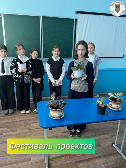 Фестиваль проектов.